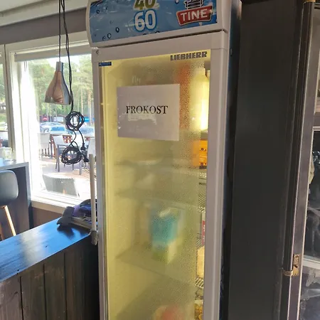 Skjomen Og *